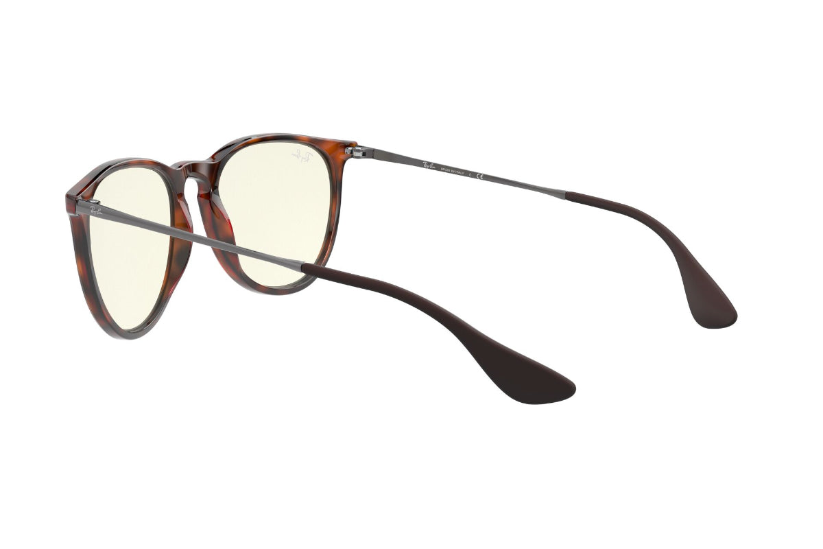 Ray-Ban Erika